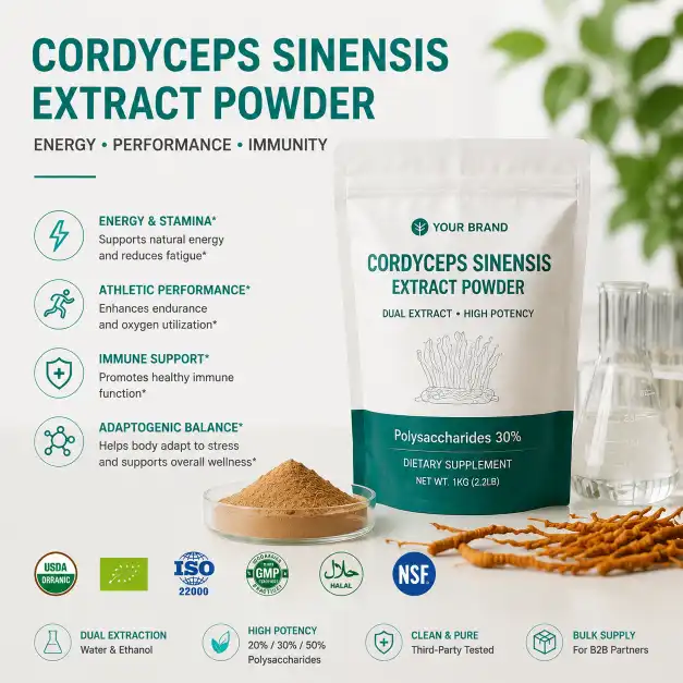 Cordyceps Sinensis Extract Powder Guide: Energy & Performance Boost